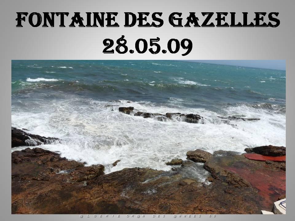 2eme Partie Oranie  Arzew-Fontaine des Gazelles (34).JPG